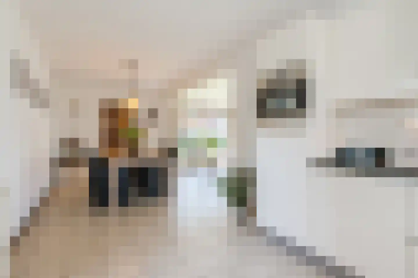 Bieselaar 55 's Gravenmoer thumbnail 21