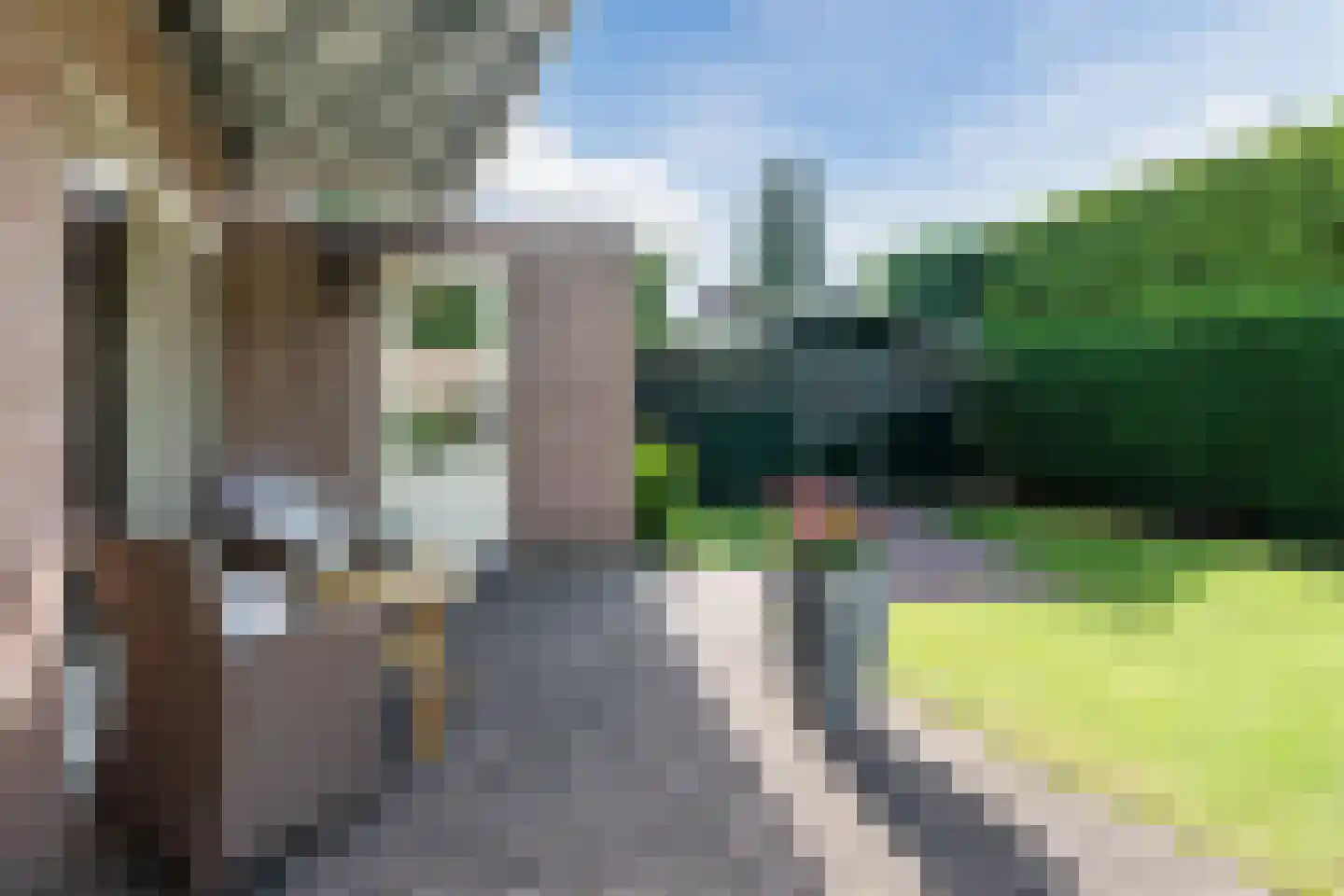 Bieselaar 55 's Gravenmoer thumbnail 24