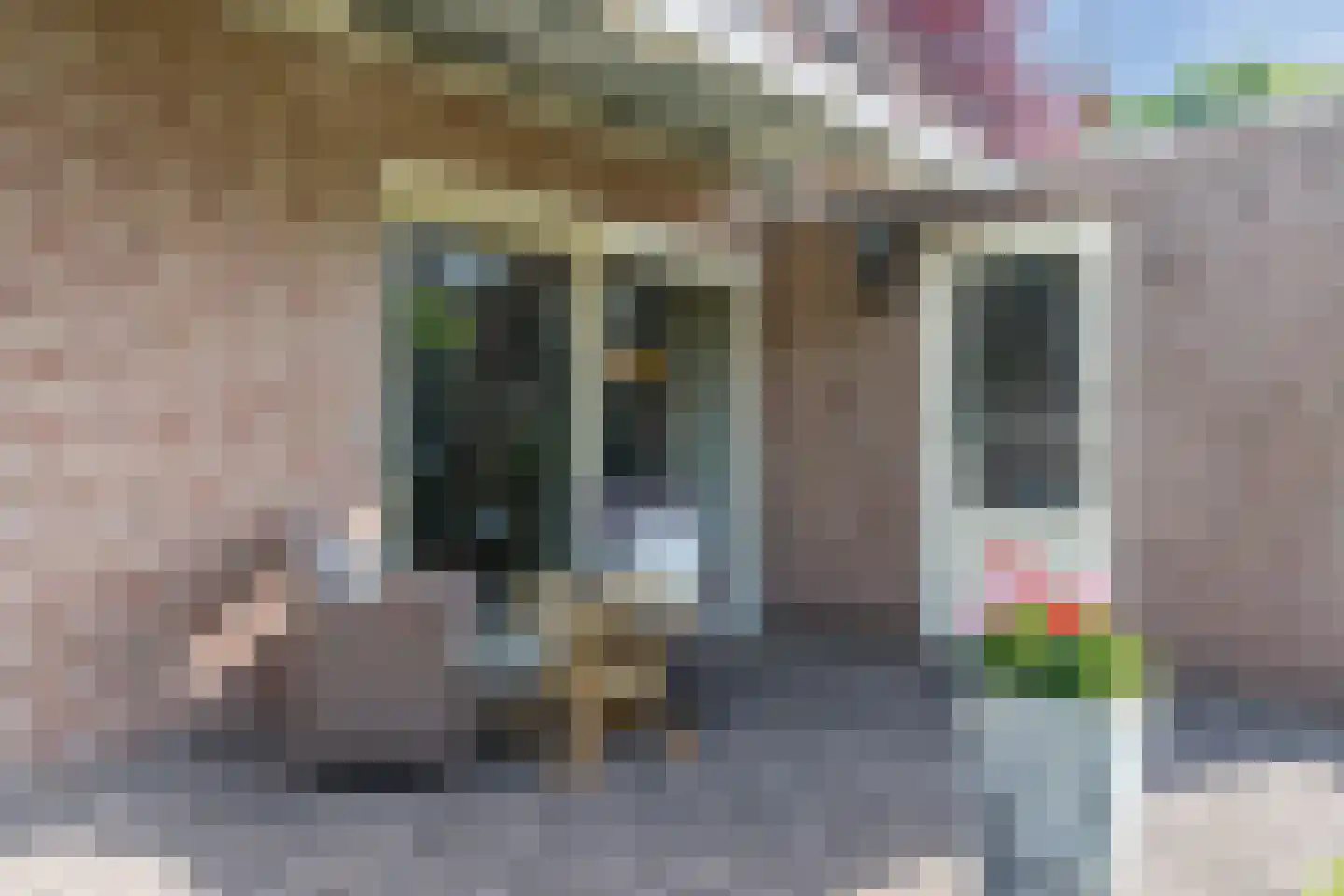 Bieselaar 55 's Gravenmoer thumbnail 26