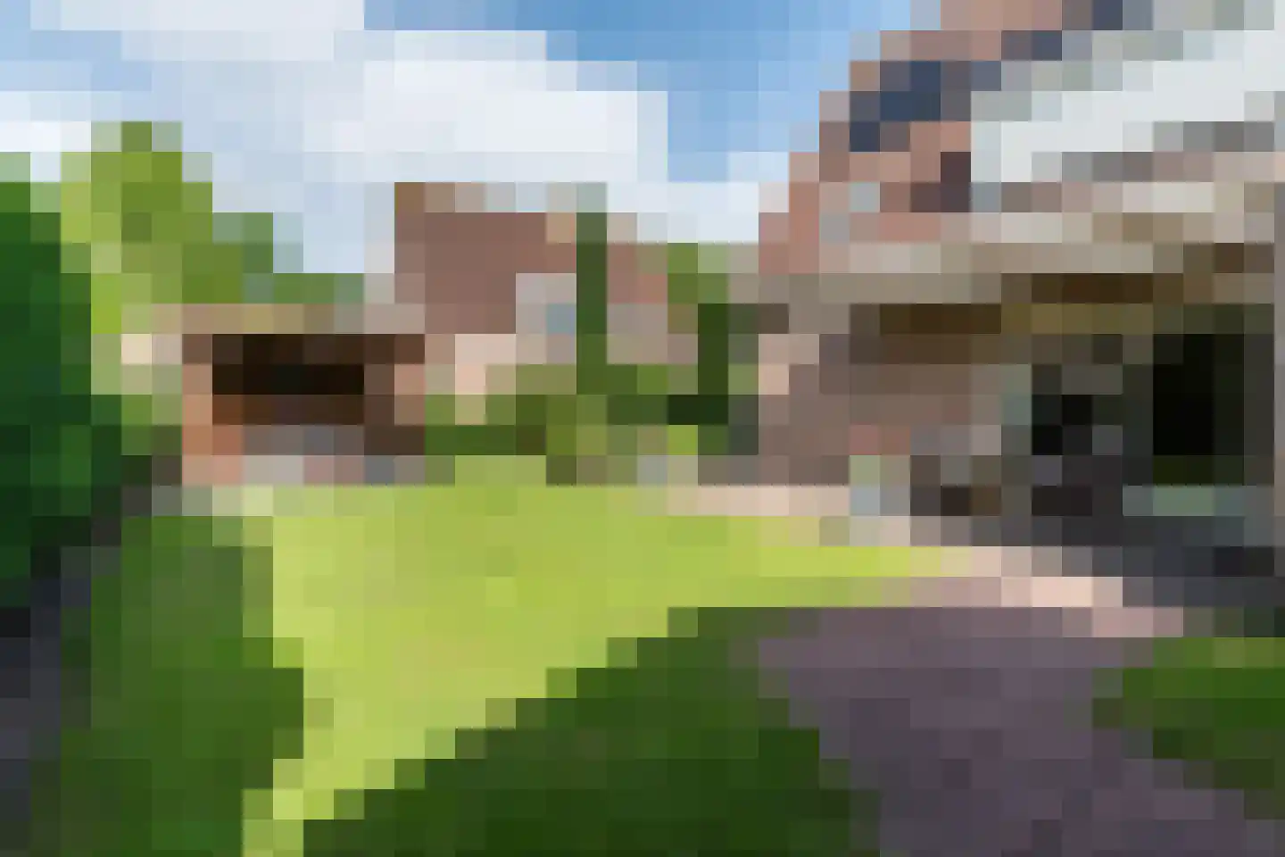 Bieselaar 55 's Gravenmoer thumbnail 28
