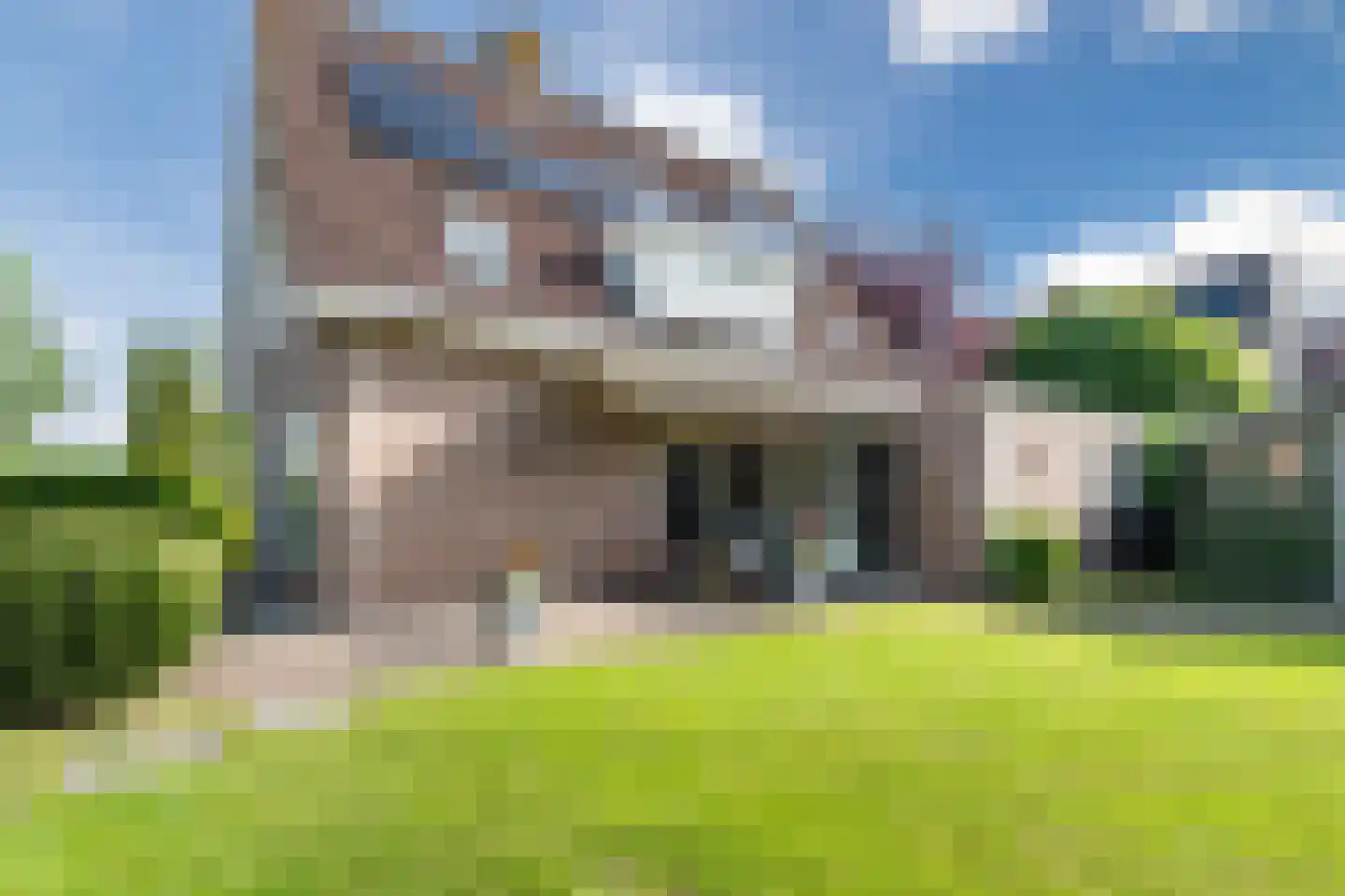 Bieselaar 55 's Gravenmoer thumbnail 30
