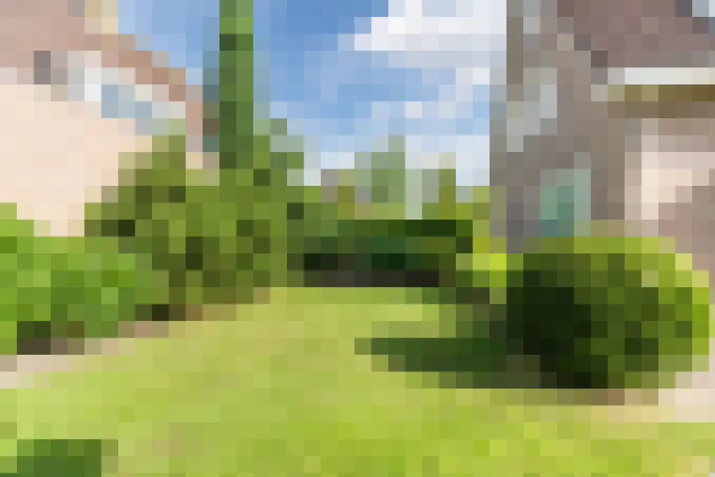 Bieselaar 55 's Gravenmoer thumbnail 31