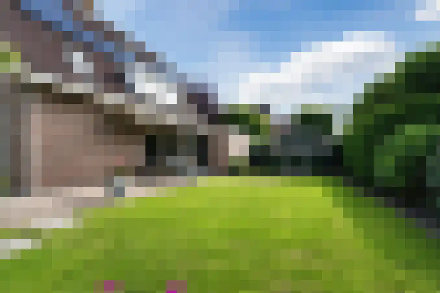 Bieselaar 55 's Gravenmoer thumbnail 32