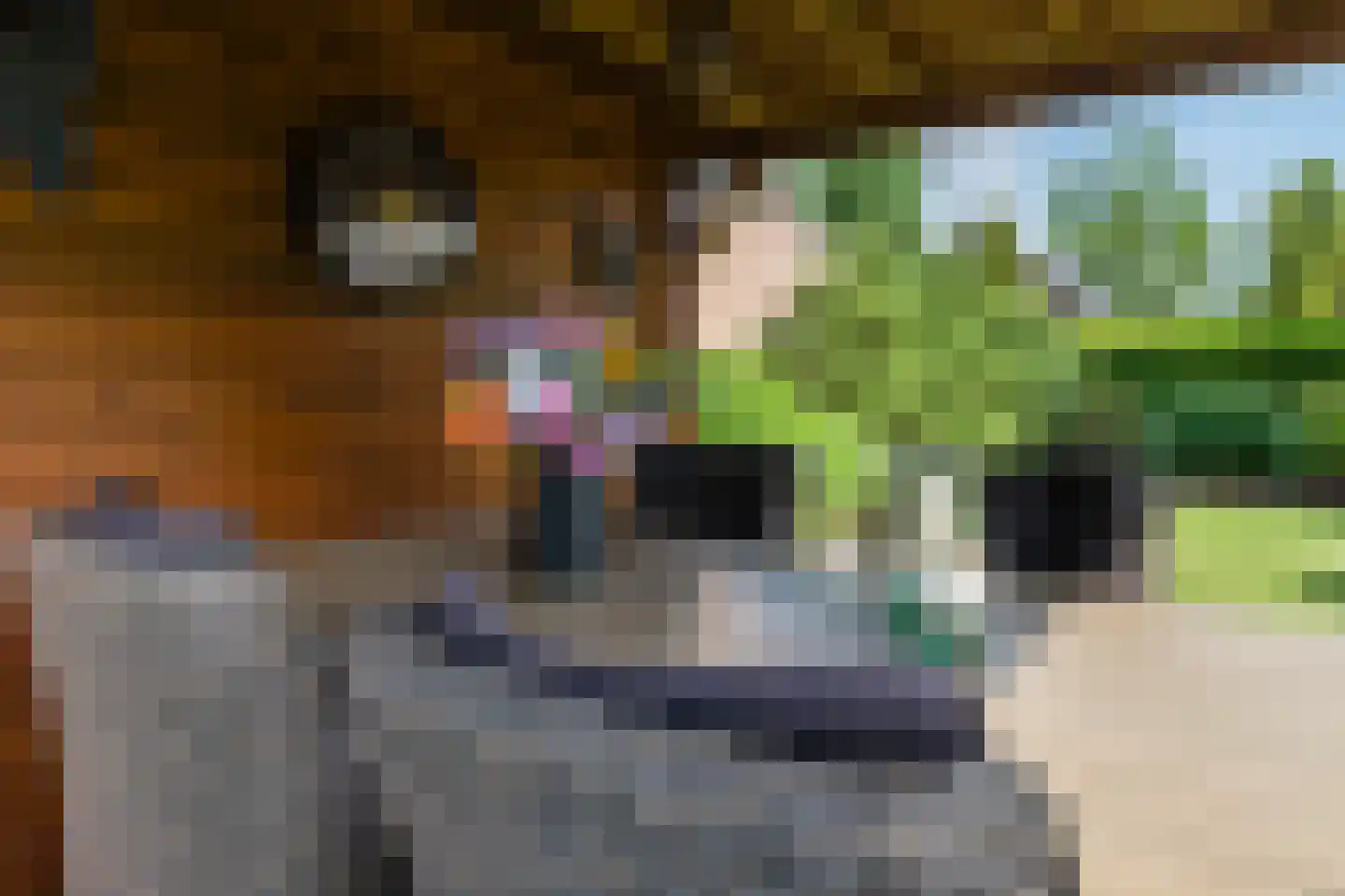 Bieselaar 55 's Gravenmoer thumbnail 33