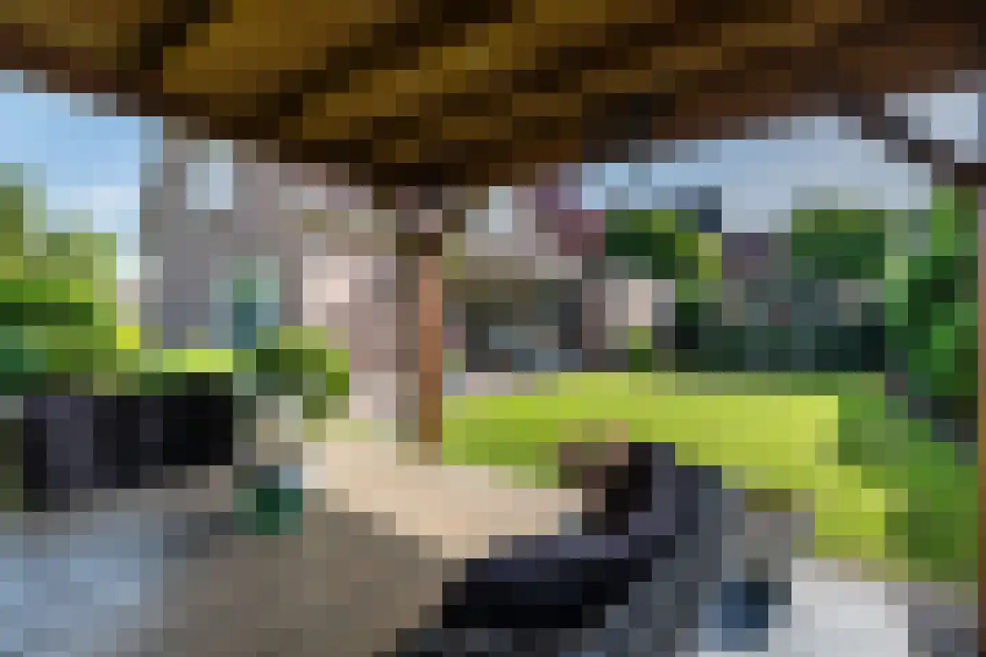Bieselaar 55 's Gravenmoer thumbnail 34