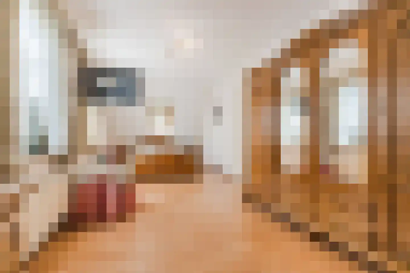 Bieselaar 55 's Gravenmoer thumbnail 45