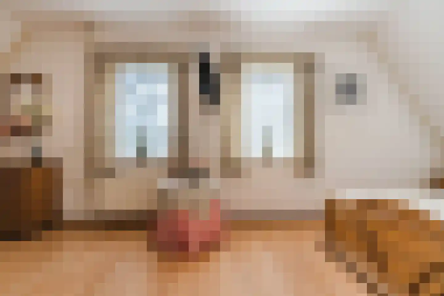 Bieselaar 55 's Gravenmoer thumbnail 46