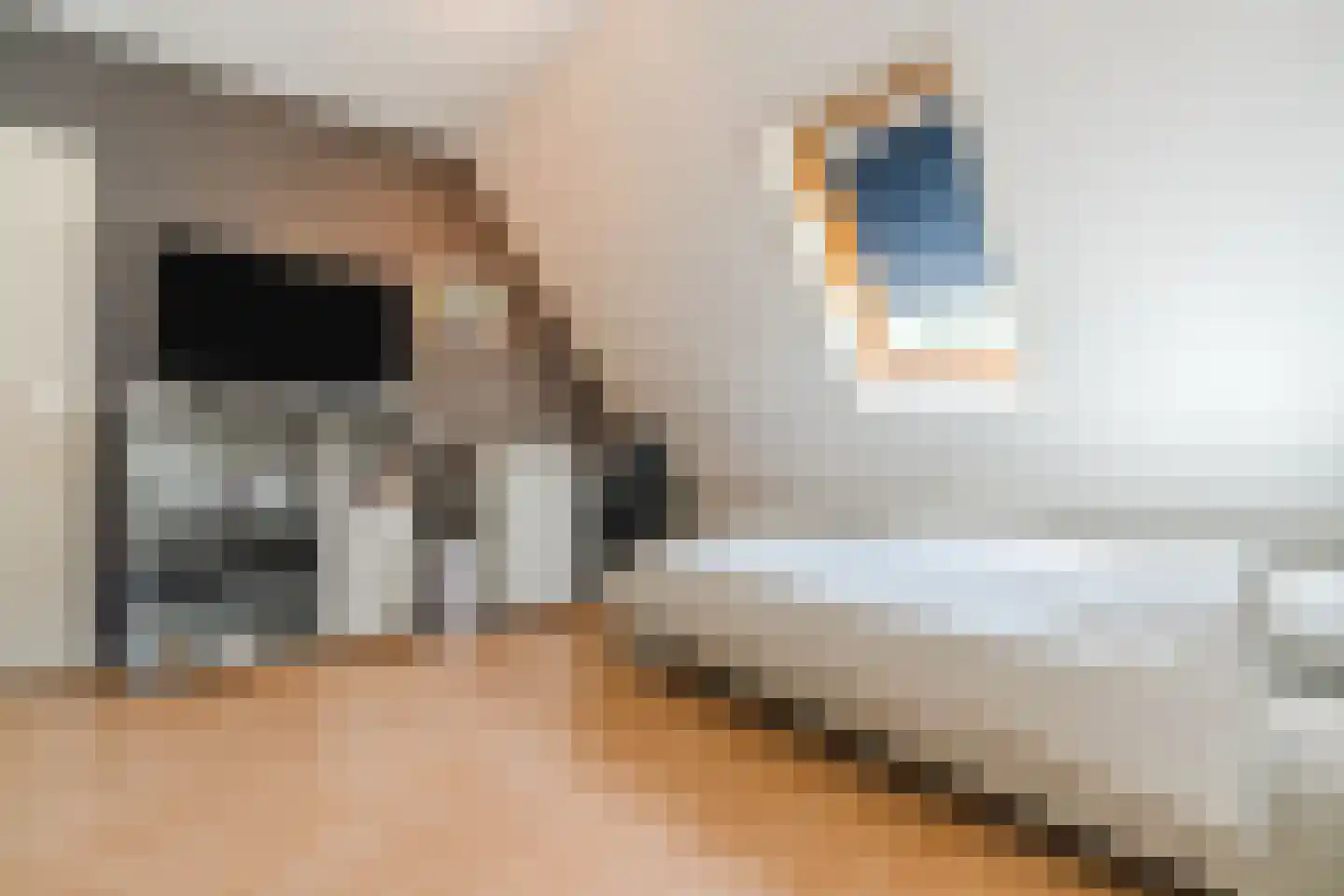 Bieselaar 55 's Gravenmoer thumbnail 48