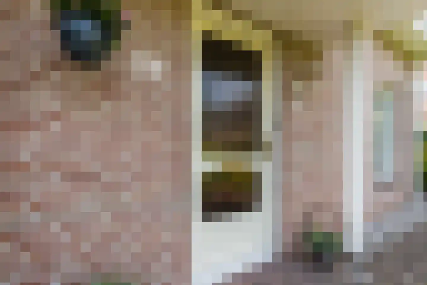 Bieselaar 55 's Gravenmoer thumbnail 63