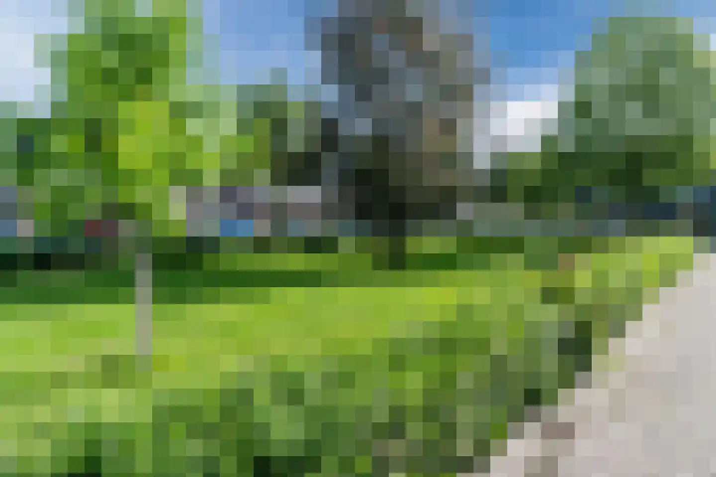 Bieselaar 55 's Gravenmoer thumbnail 64