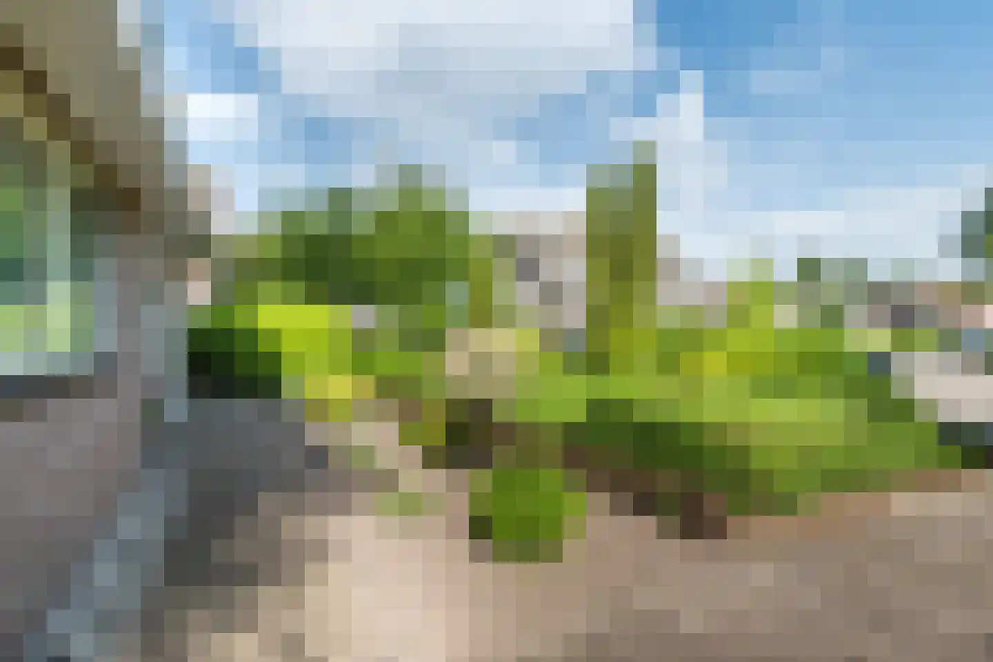 Bieselaar 55 's Gravenmoer thumbnail 65
