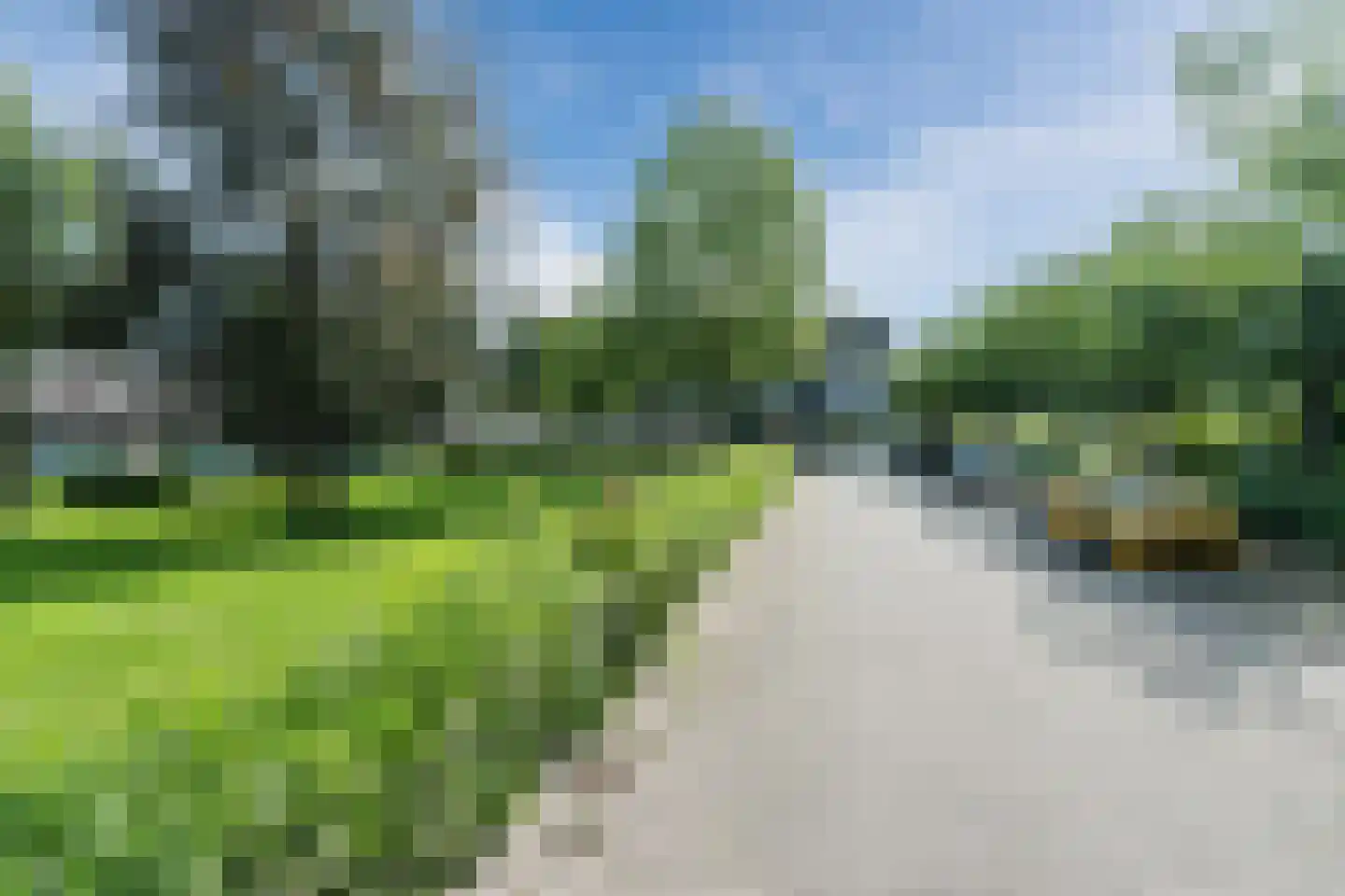 Bieselaar 55 's Gravenmoer thumbnail 66