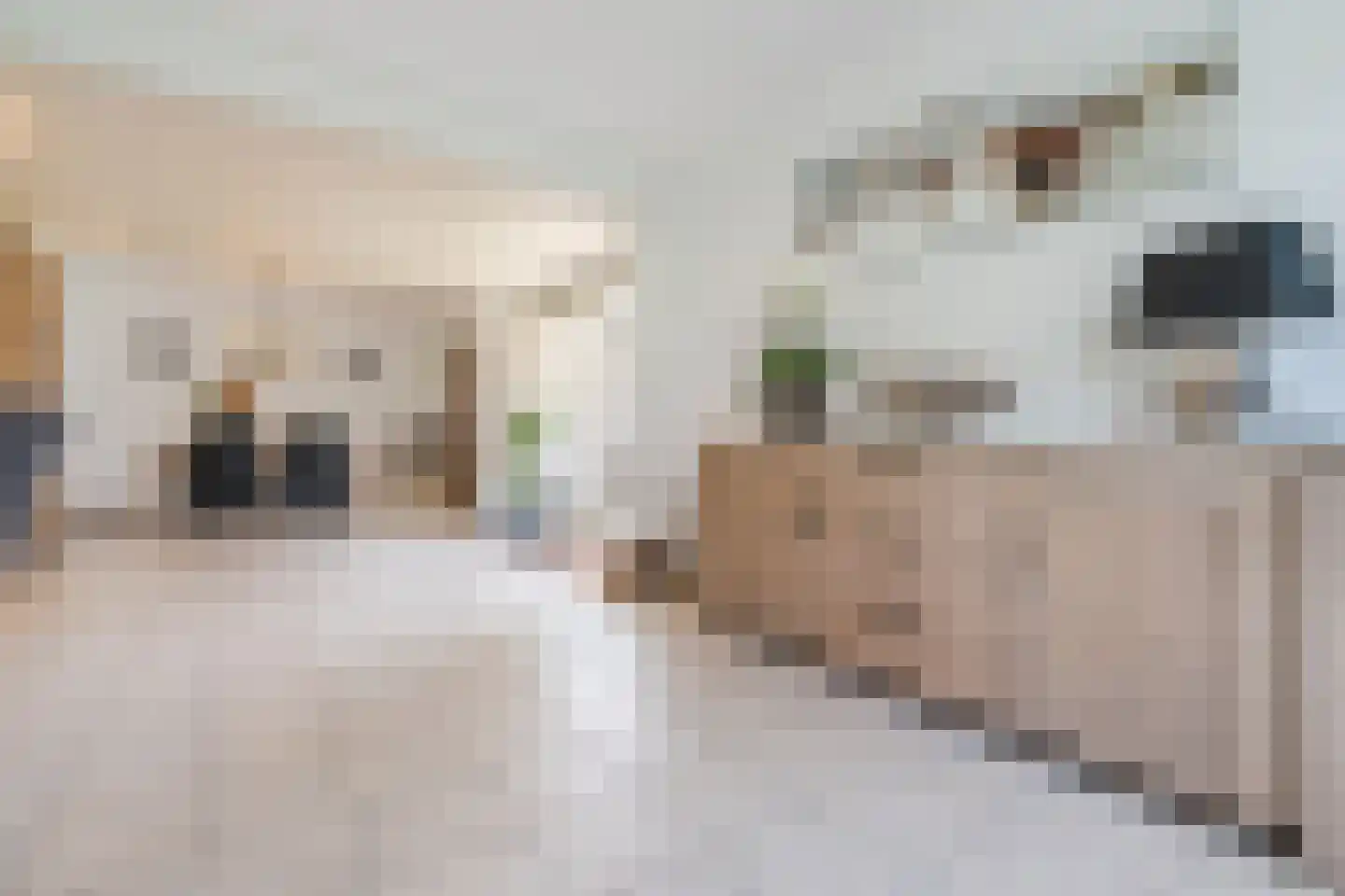 Bieselaar 55 's Gravenmoer thumbnail 9