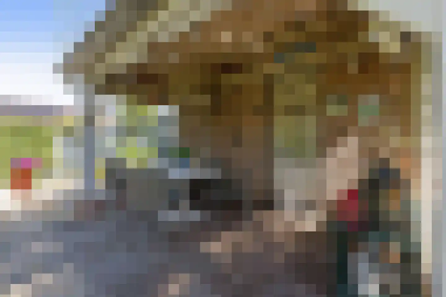 Bieshaarlaan 20 Hoogland thumbnail 10