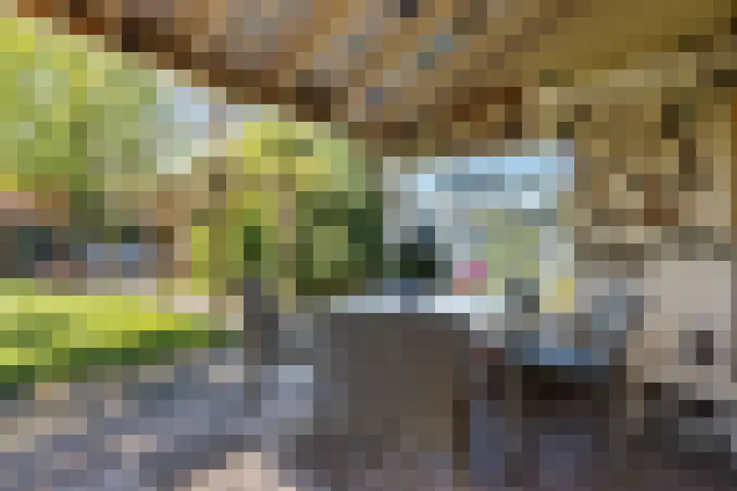 Bieshaarlaan 20 Hoogland thumbnail 11