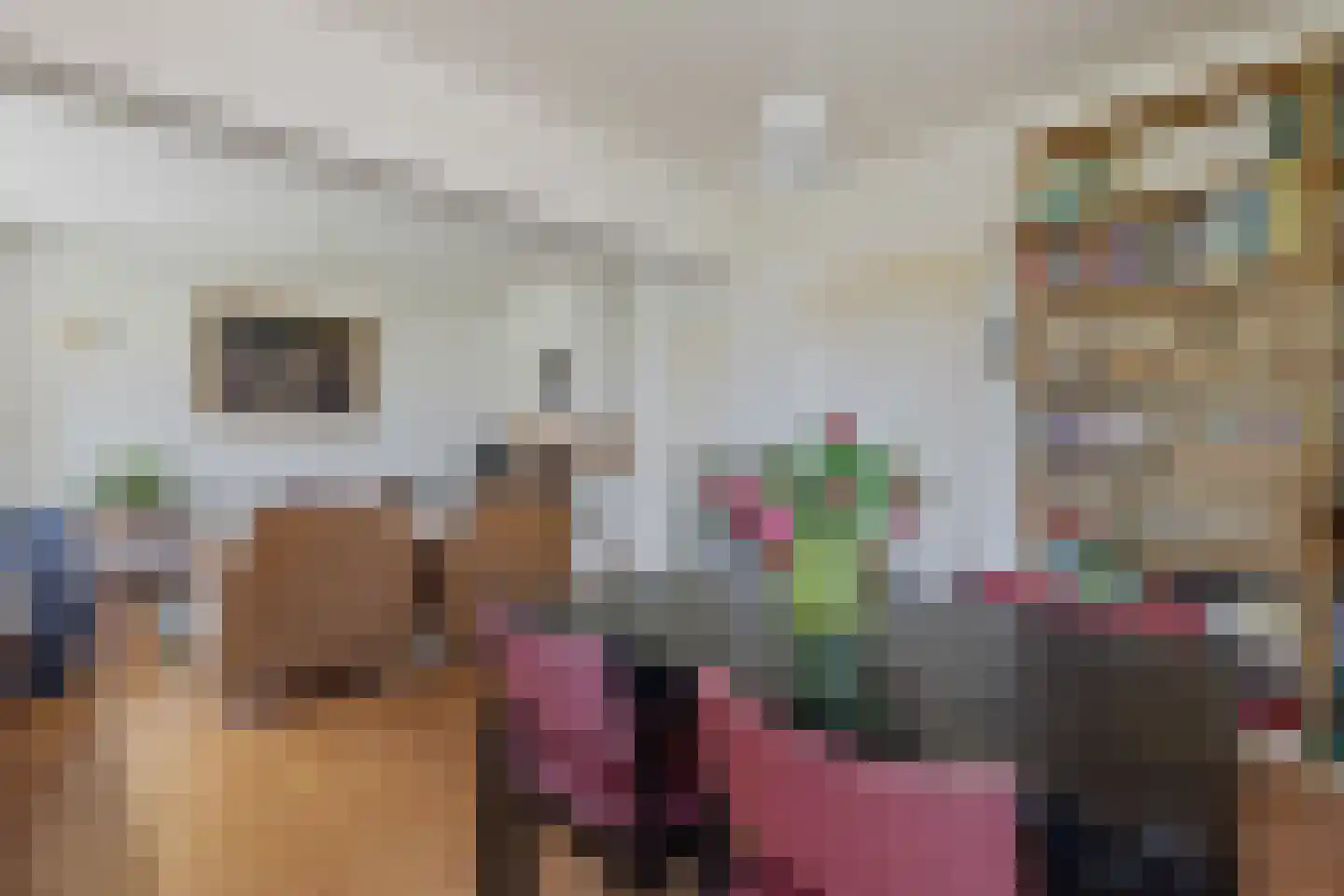 Bieshaarlaan 20 Hoogland thumbnail 20