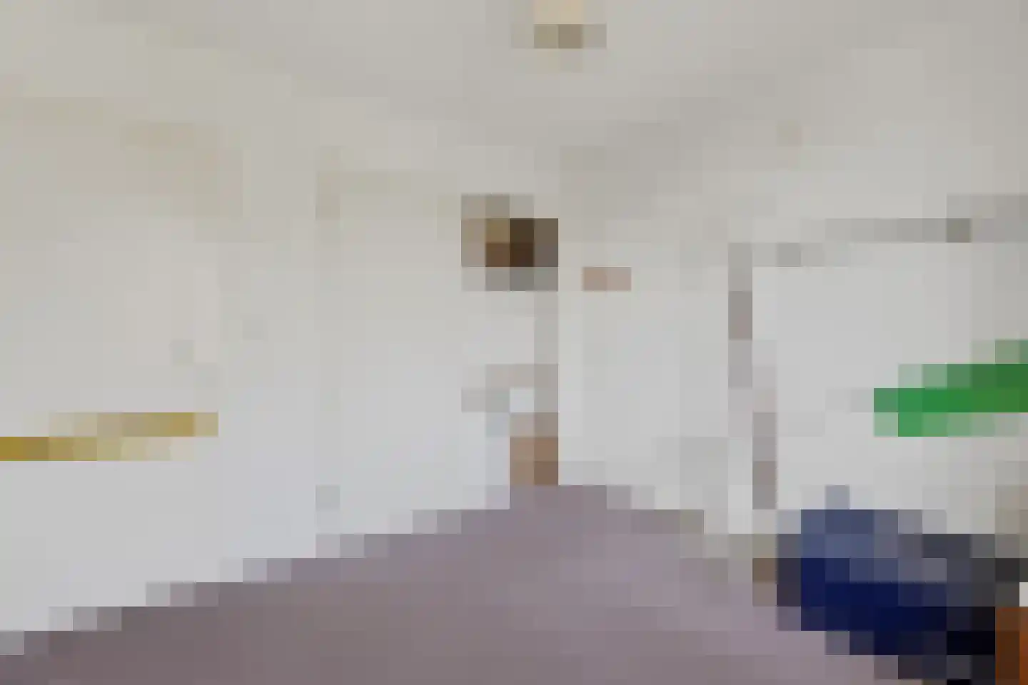 Bieshaarlaan 20 Hoogland thumbnail 29