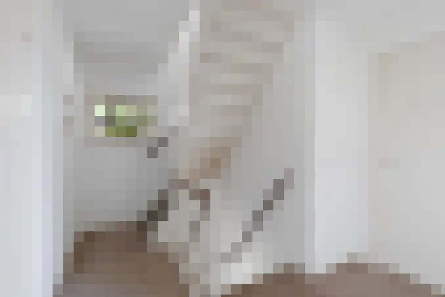 Bieshaarlaan 20 Hoogland thumbnail 32