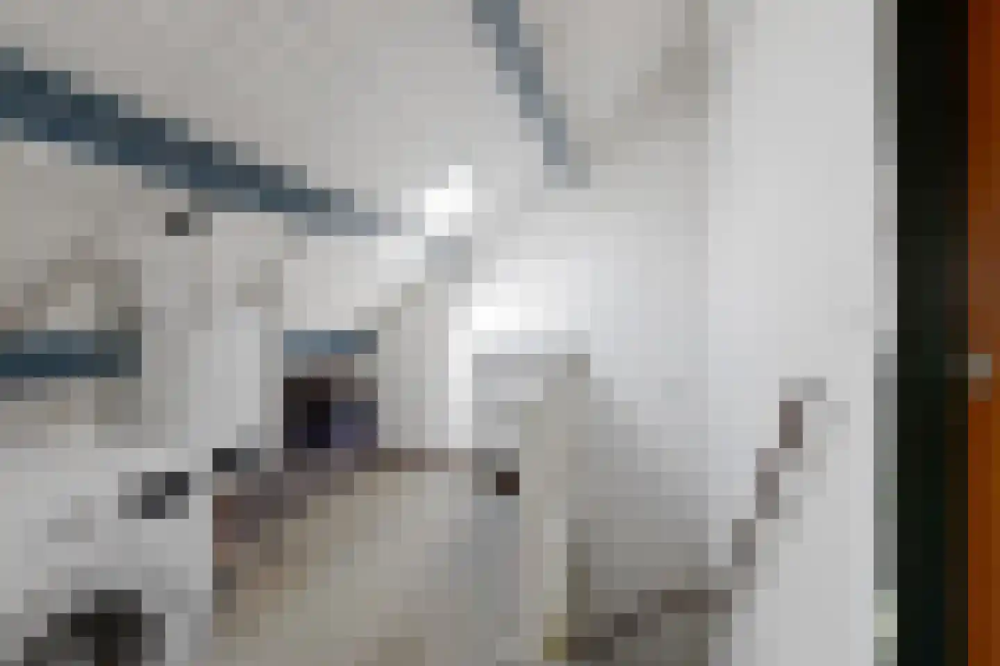 Bieshaarlaan 20 Hoogland thumbnail 33