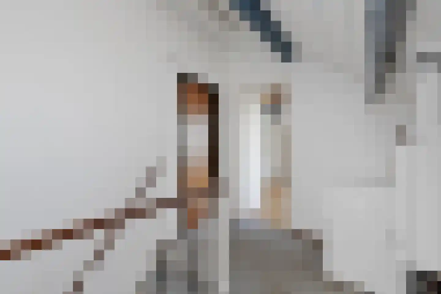 Bieshaarlaan 20 Hoogland thumbnail 34