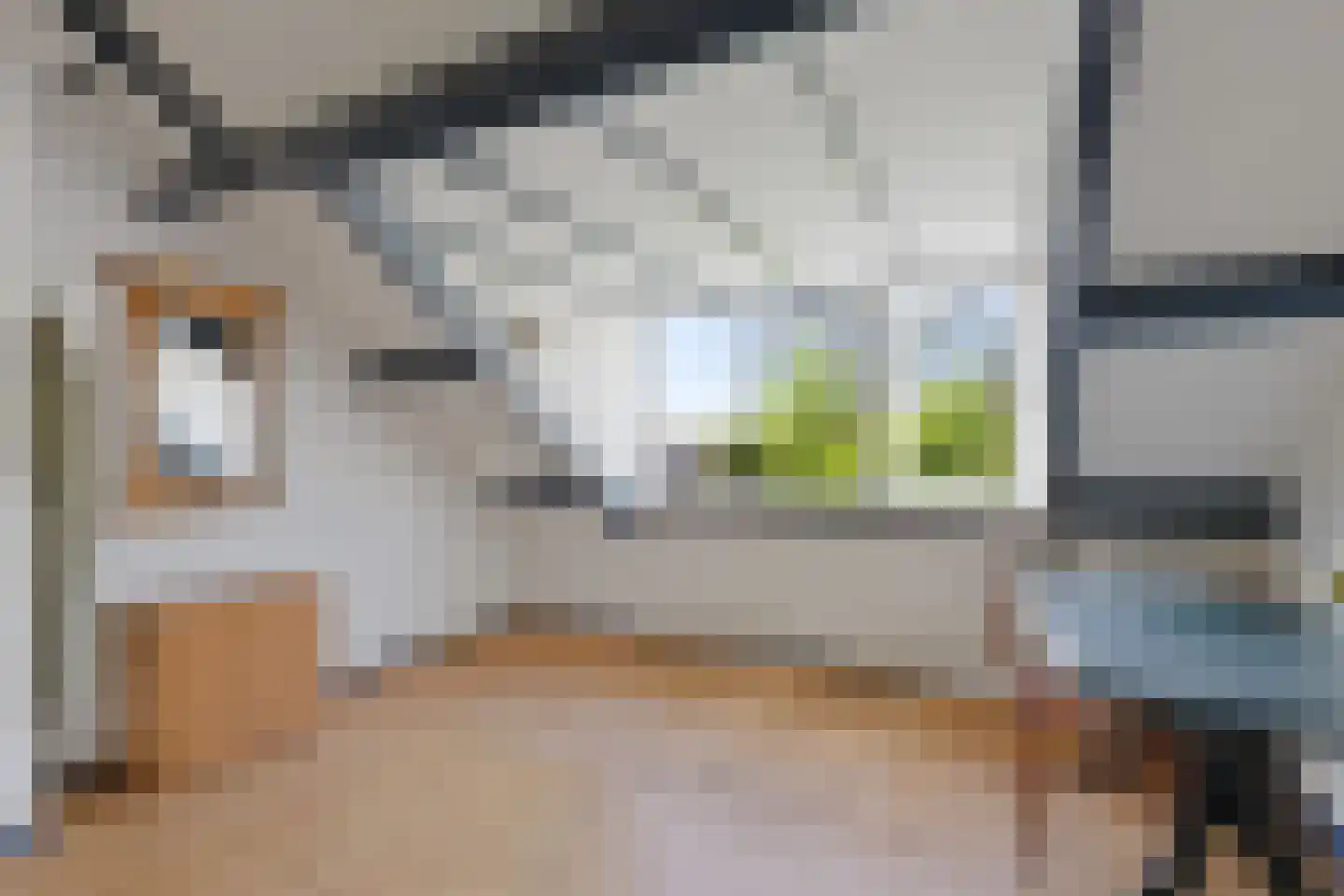 Bieshaarlaan 20 Hoogland thumbnail 36