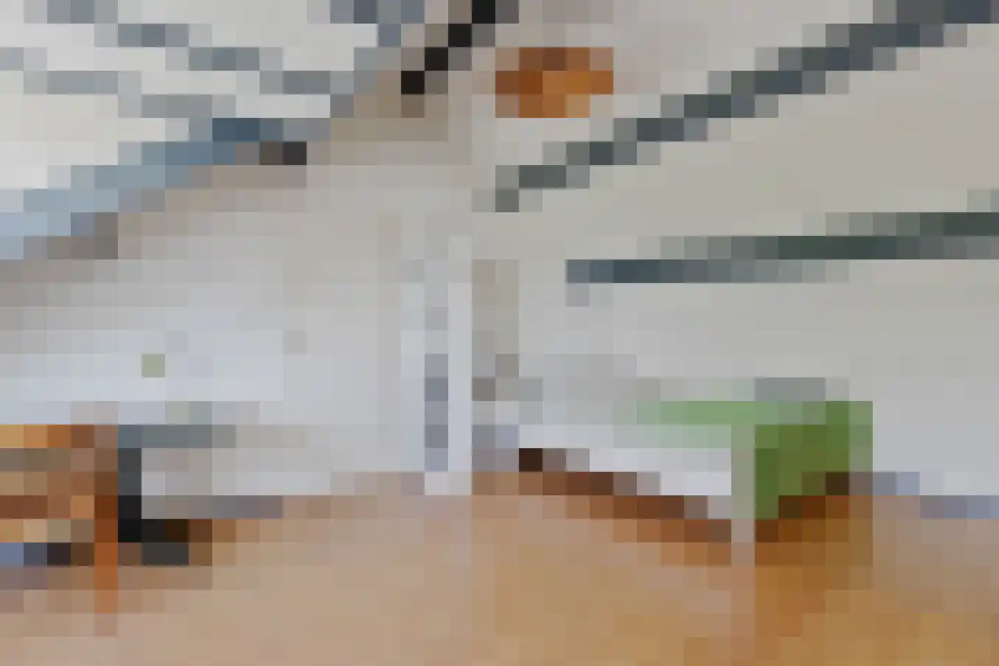 Bieshaarlaan 20 Hoogland thumbnail 37