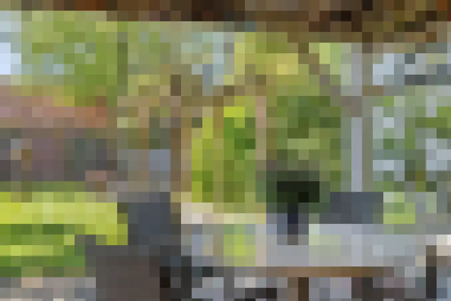 Bieshaarlaan 20 Hoogland thumbnail 39