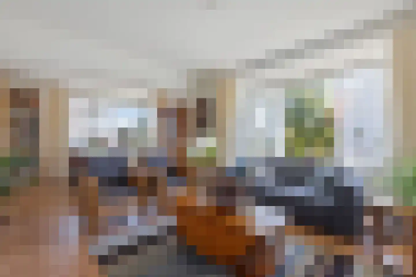 Bieshaarlaan 20 Hoogland thumbnail 4