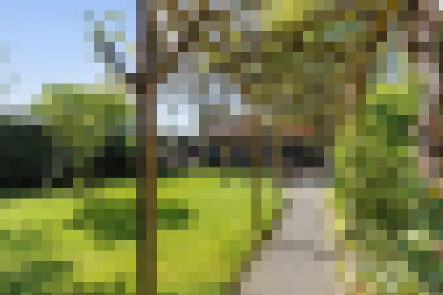 Bieshaarlaan 20 Hoogland thumbnail 41