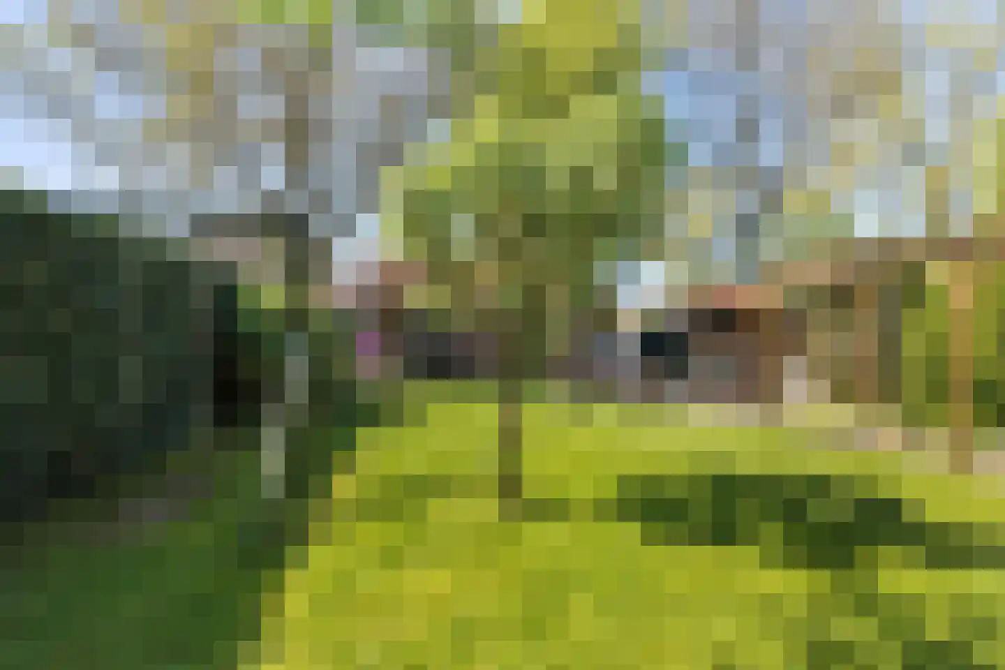 Bieshaarlaan 20 Hoogland thumbnail 42