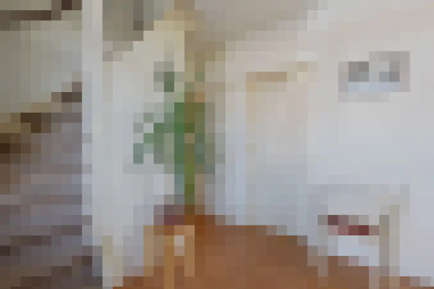Bieshaarlaan 20 Hoogland thumbnail 8
