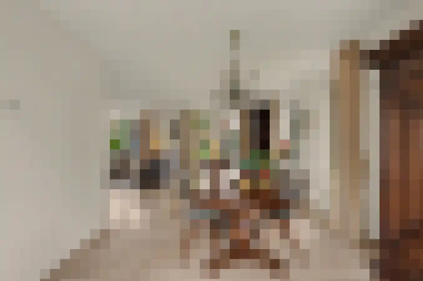 Biesheuvellaan 20 Vlijmen thumbnail 11