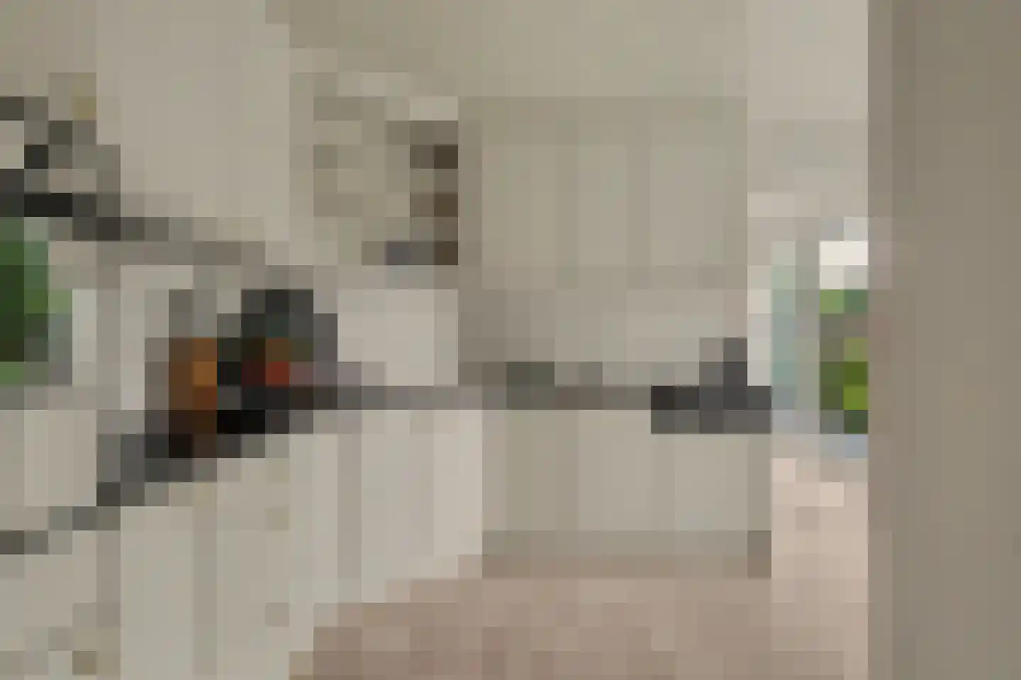 Biesheuvellaan 20 Vlijmen thumbnail 15
