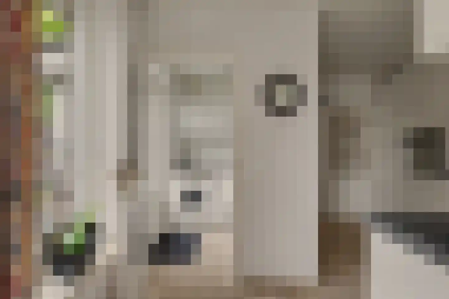 Biesheuvellaan 20 Vlijmen thumbnail 17