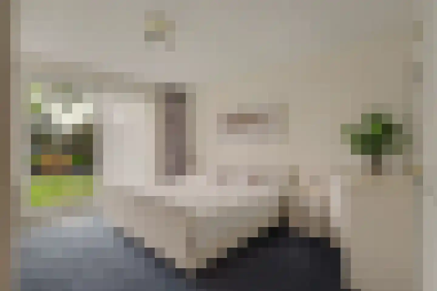 Biesheuvellaan 20 Vlijmen thumbnail 19