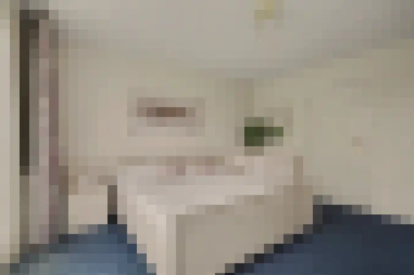 Biesheuvellaan 20 Vlijmen thumbnail 21