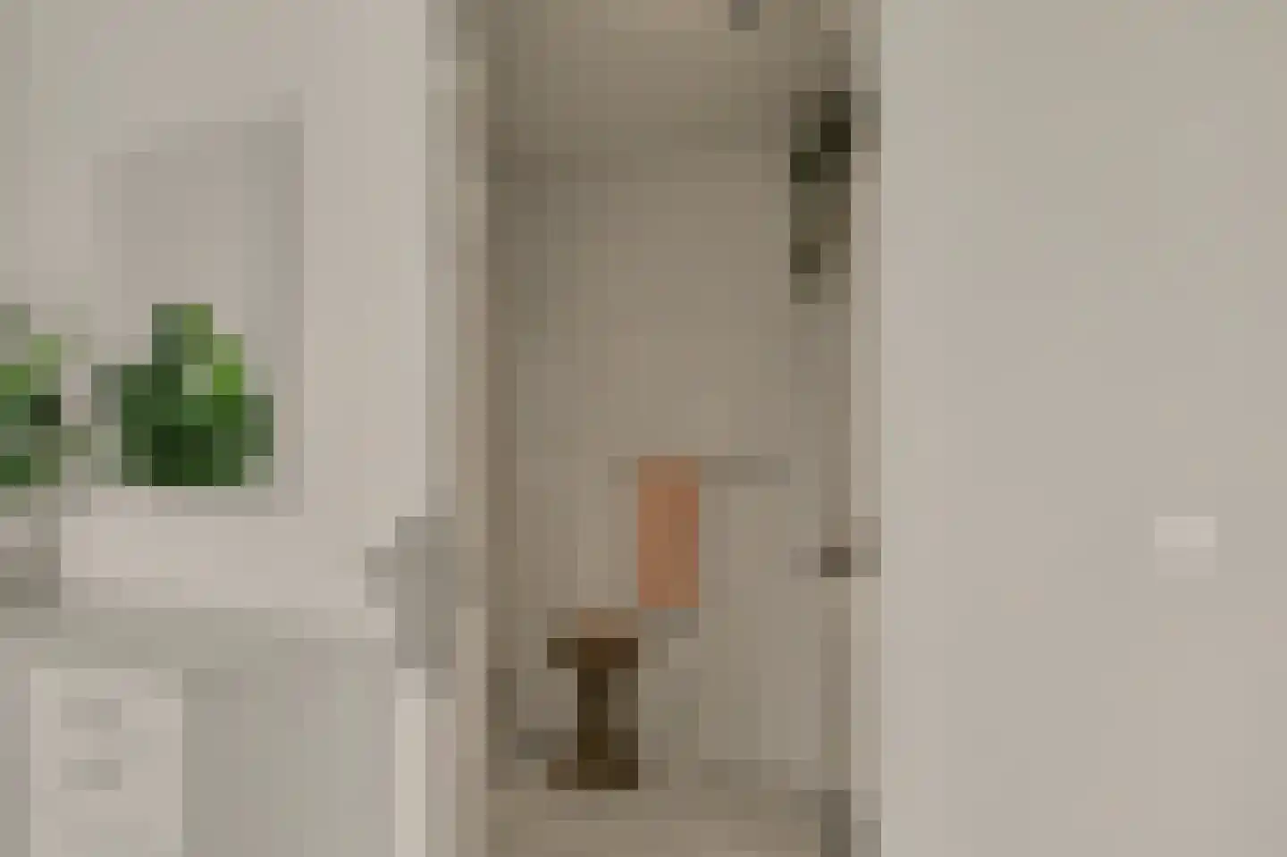 Biesheuvellaan 20 Vlijmen thumbnail 22
