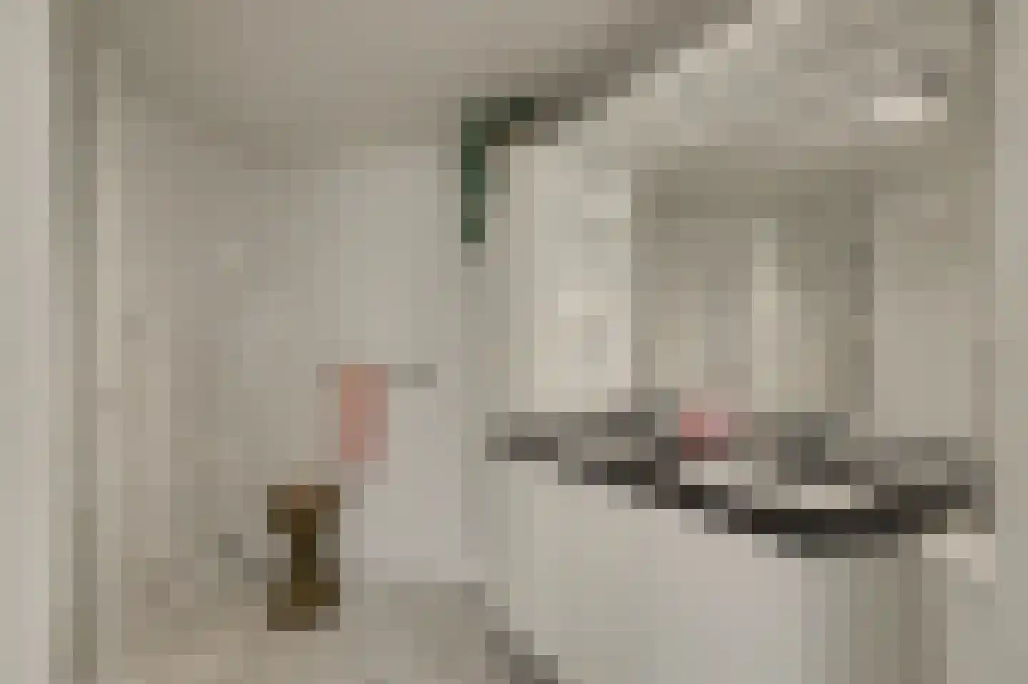 Biesheuvellaan 20 Vlijmen thumbnail 23