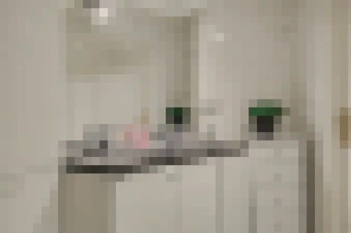 Biesheuvellaan 20 Vlijmen thumbnail 24