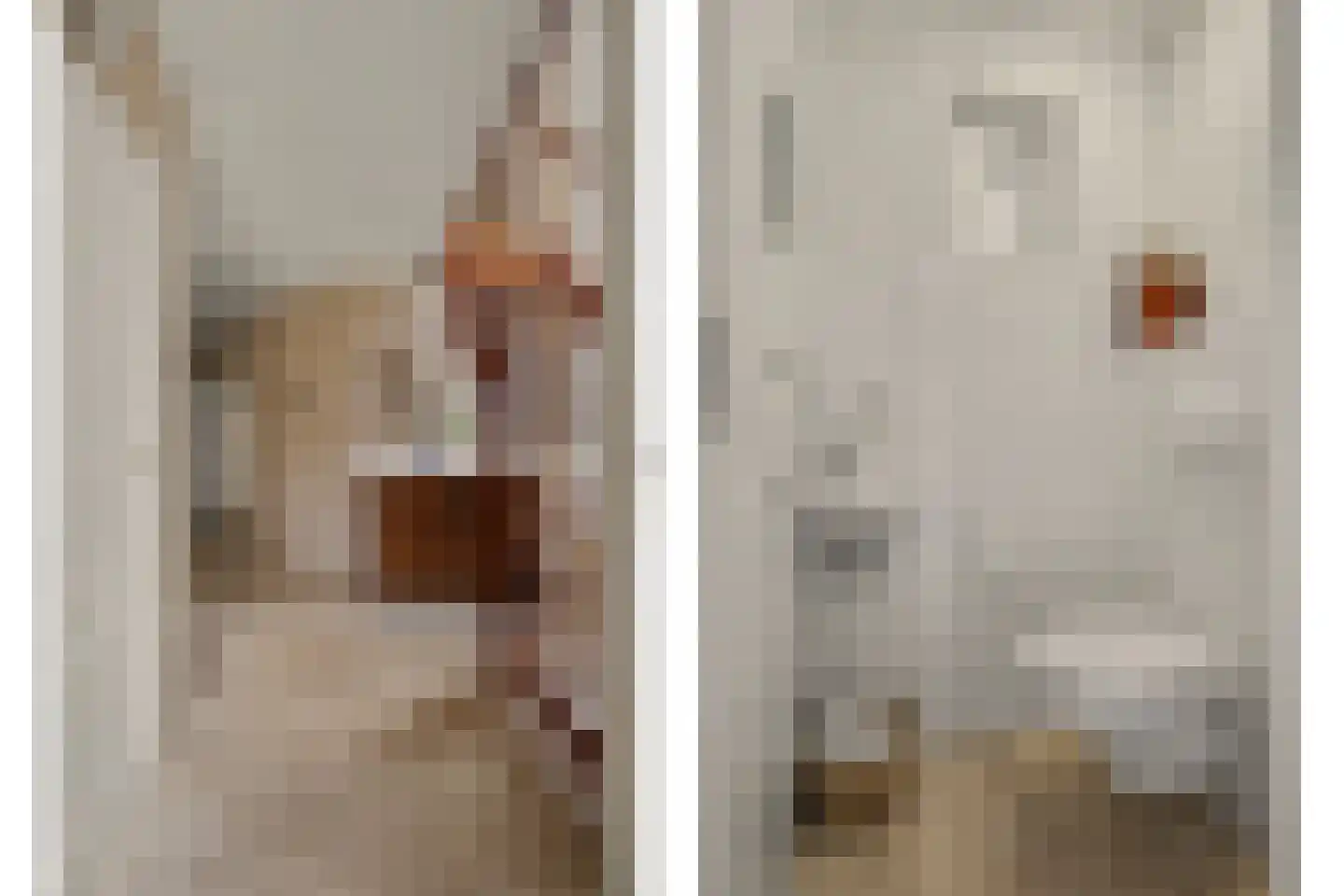 Biesheuvellaan 20 Vlijmen thumbnail 26