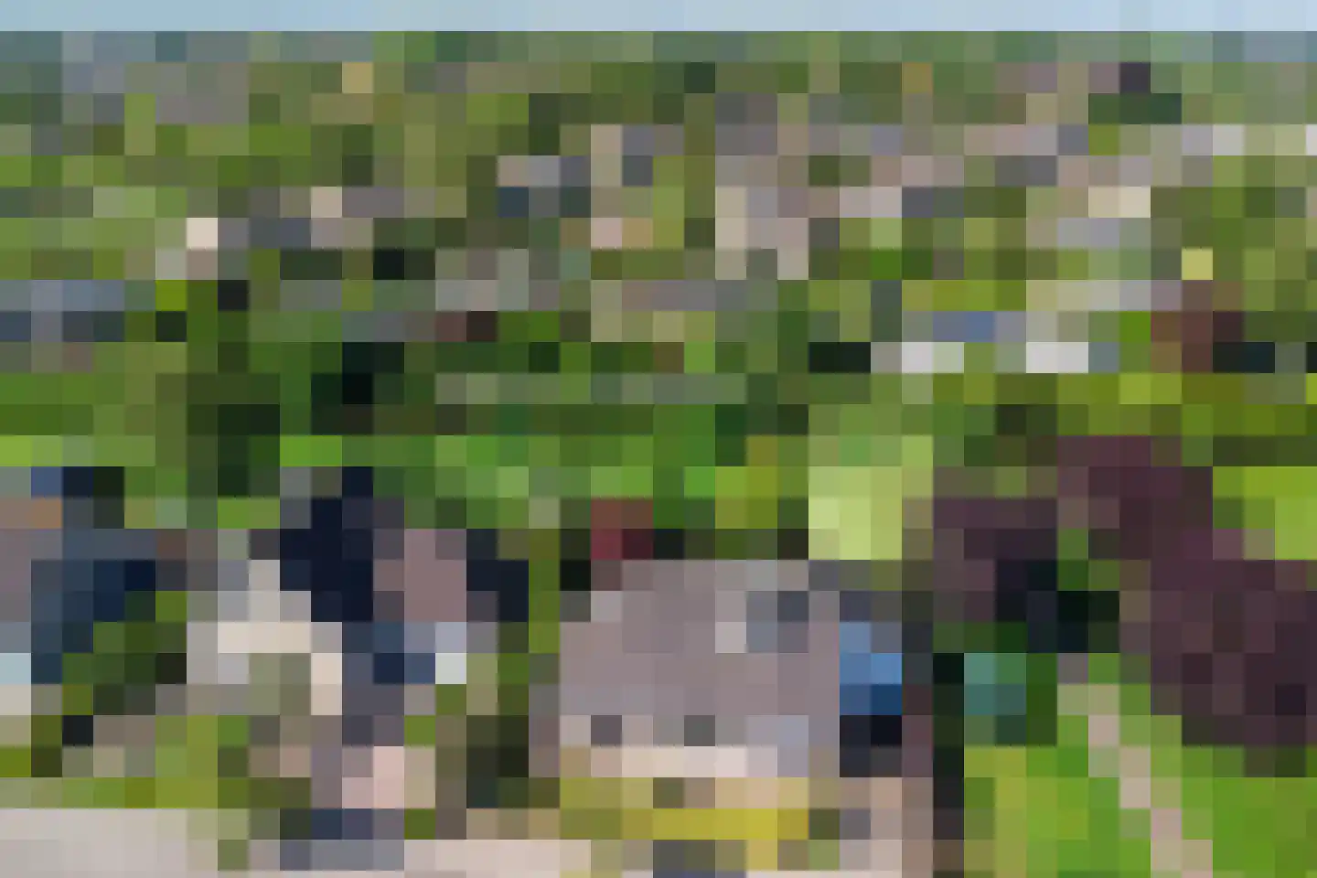 Biesheuvellaan 20 Vlijmen foto 3