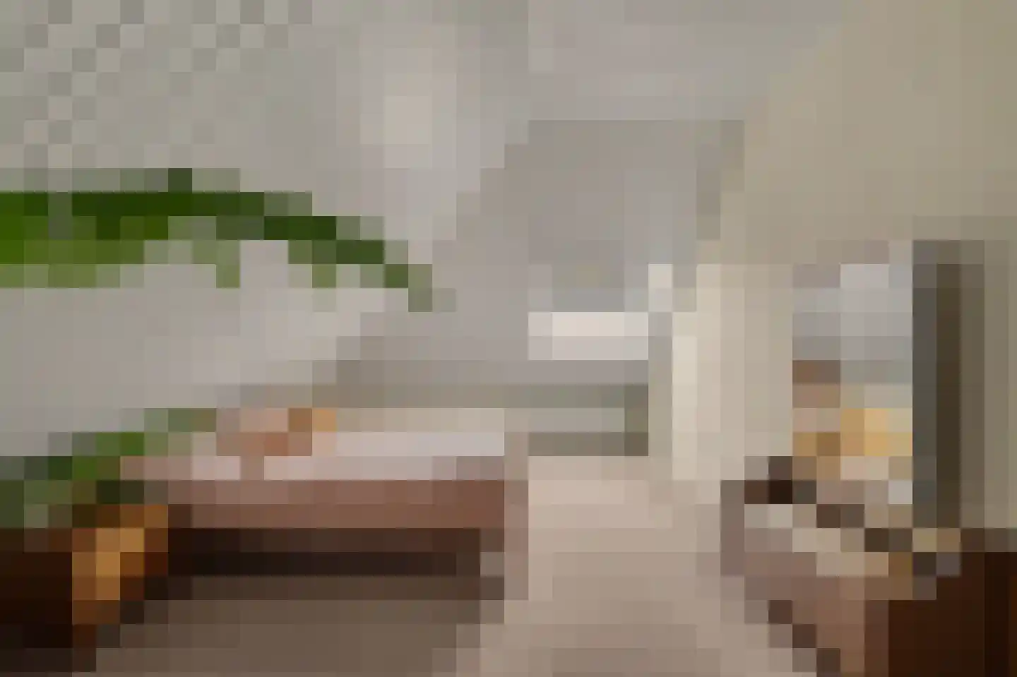 Biesheuvellaan 20 Vlijmen thumbnail 30