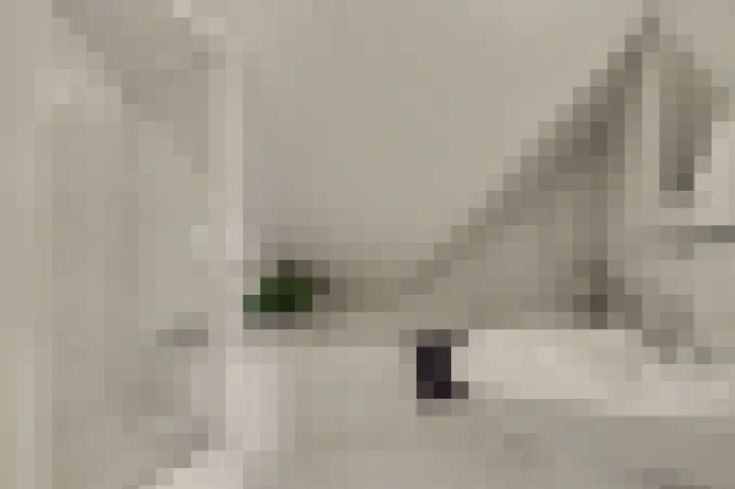 Biesheuvellaan 20 Vlijmen thumbnail 32