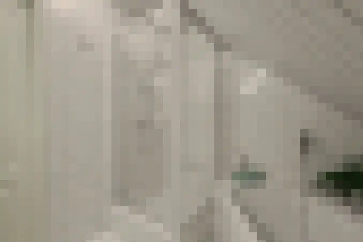 Biesheuvellaan 20 Vlijmen thumbnail 33