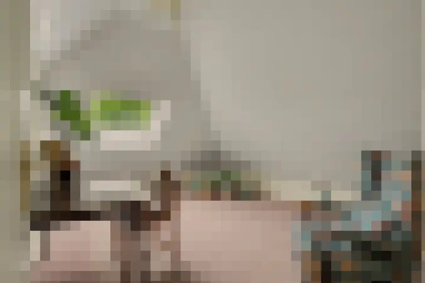 Biesheuvellaan 20 Vlijmen thumbnail 37