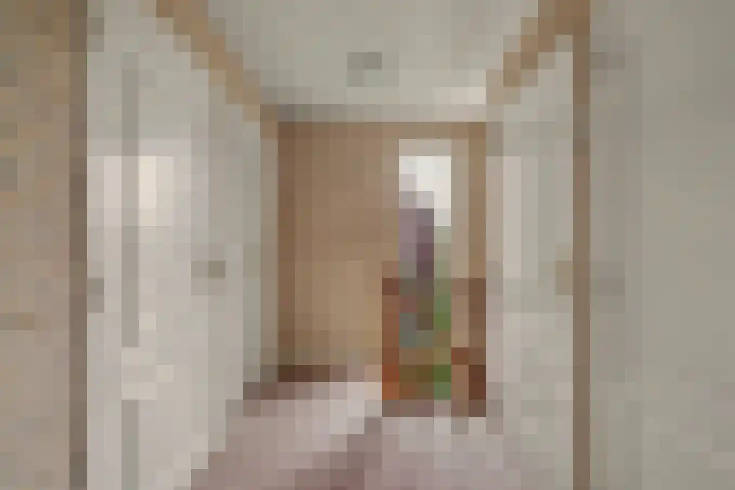 Biesheuvellaan 20 Vlijmen thumbnail 40