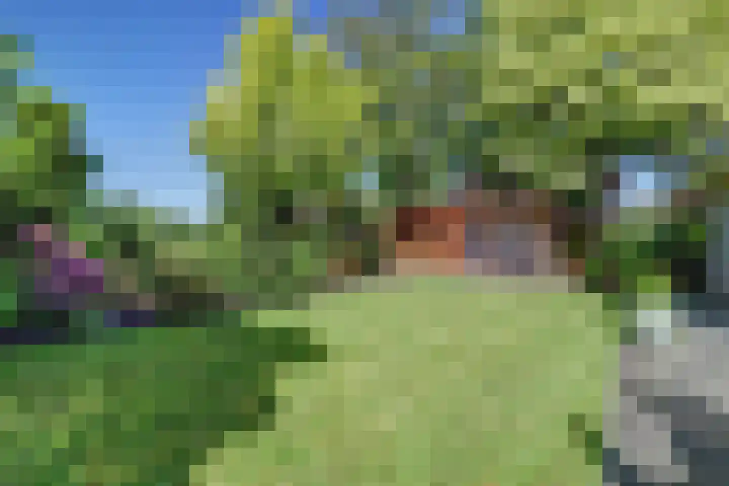 Biesheuvellaan 20 Vlijmen thumbnail 43