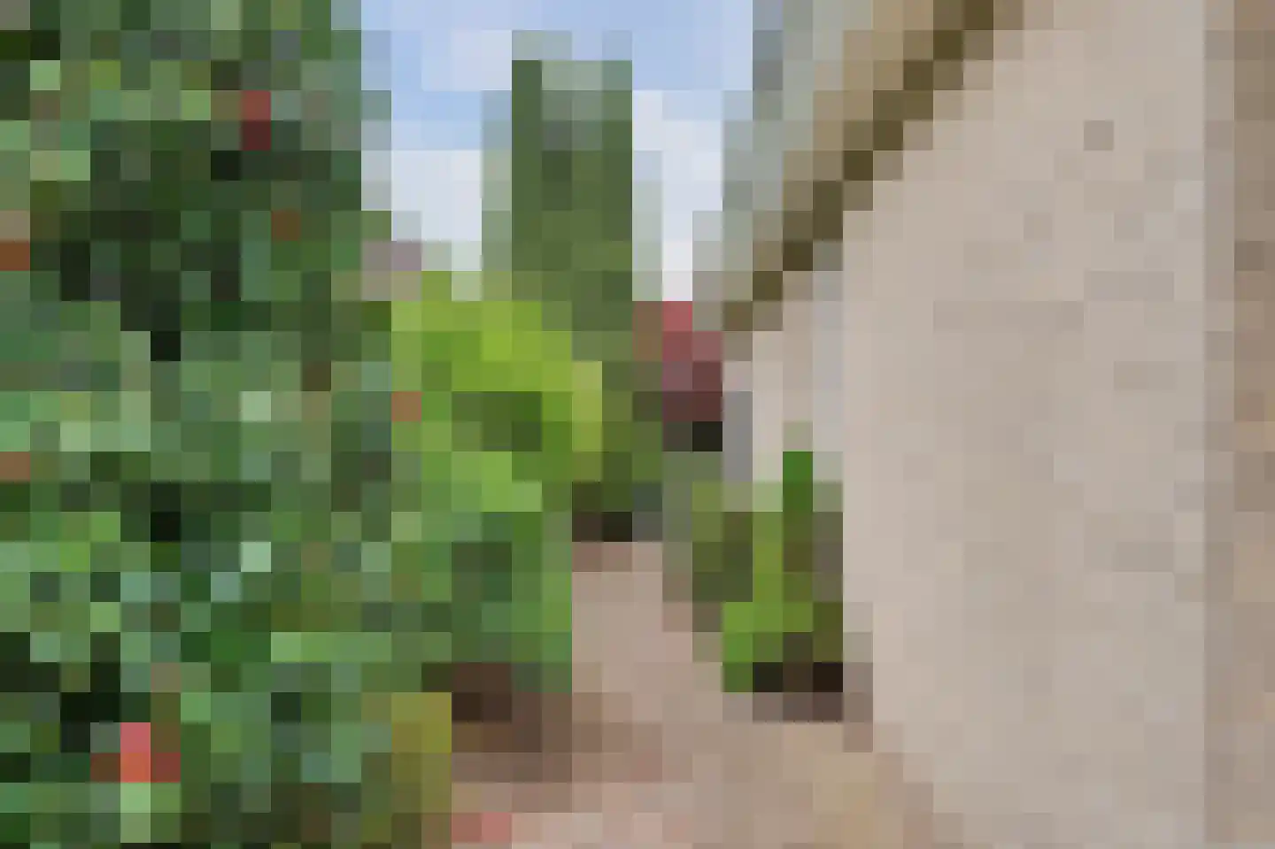 Biesheuvellaan 20 Vlijmen thumbnail 51