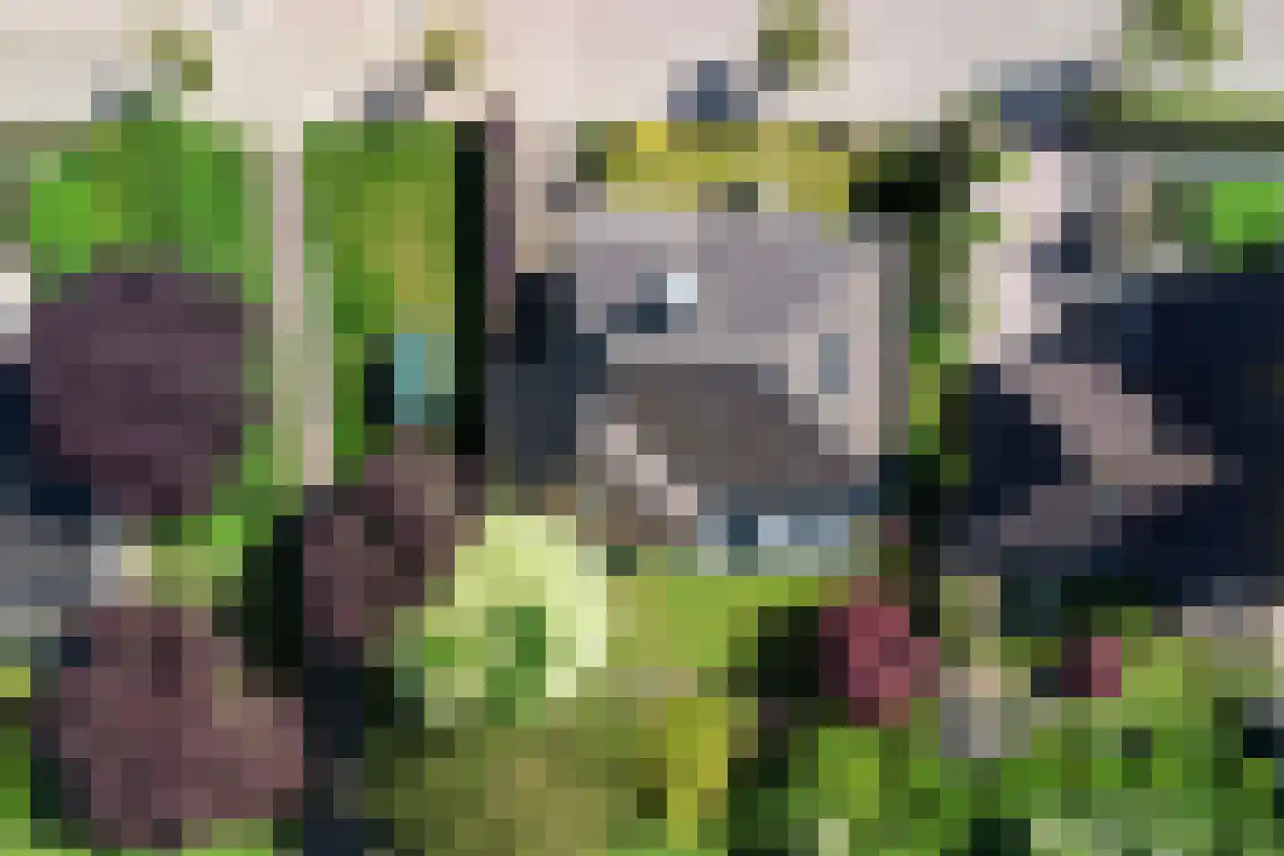 Biesheuvellaan 20 Vlijmen thumbnail 60