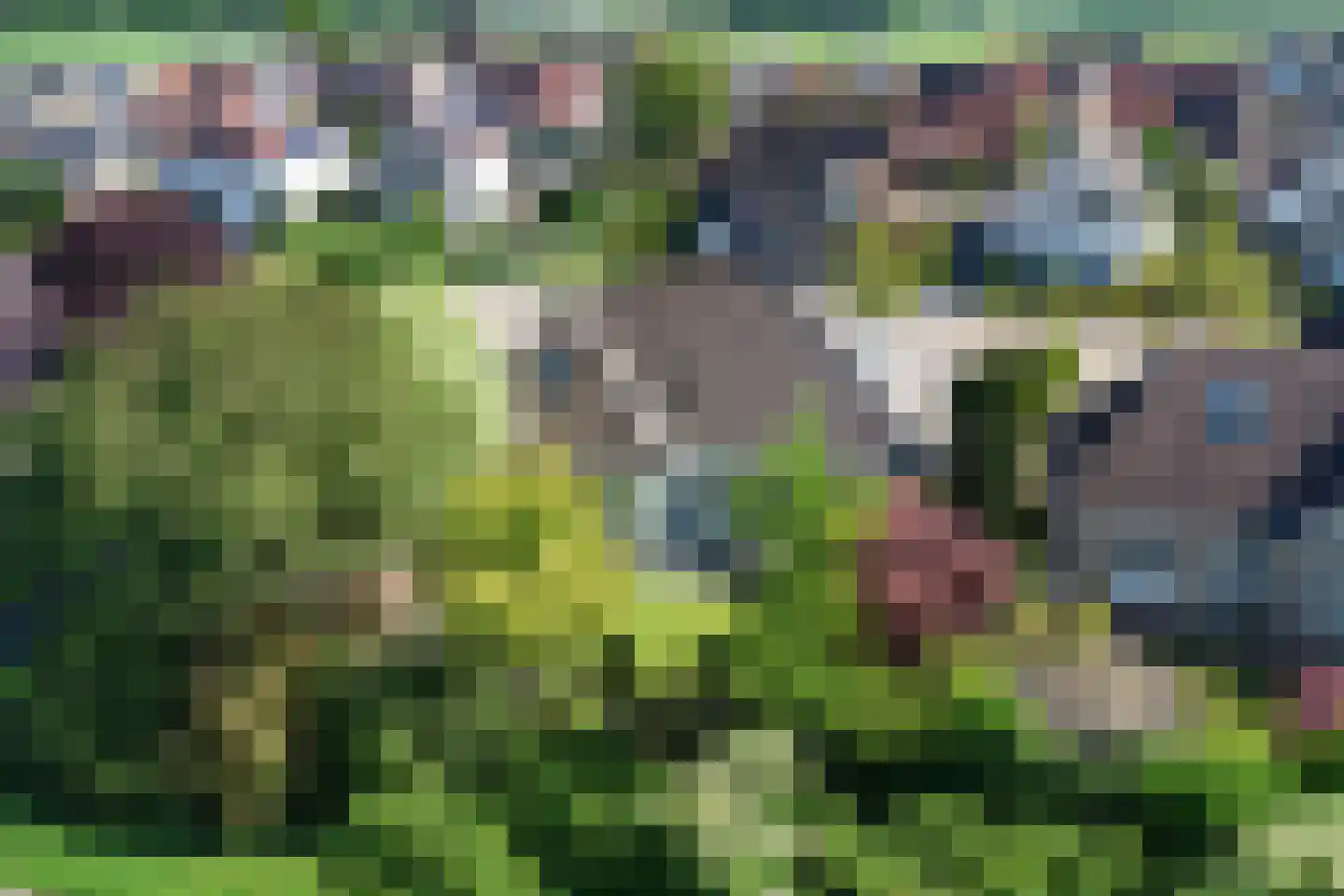 Biesheuvellaan 20 Vlijmen thumbnail 61